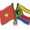 Vietnam, Comoros set up diplomatic ties