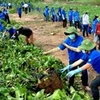 Da Nang strives for green environment