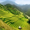Vietnam among 20 best countries to visit
