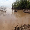 Mekong Delta localities move to address climate change 