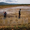 Vietnam responds to World Meteorological Day