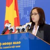 Foreign Ministry deputy spokeswoman clarifies citizen protection