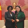 Vietnam, Mozambique forge legislative ties