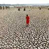 Thailand faces longest heatwave in 65 years