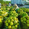 Less Mekong Delta fruit, higher prices