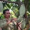 Dong Nai company exports cocoa to RoK, Japan