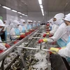 Shrimp export to US sees growth 