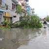 Storm Mirinae takes heavy toll on northern Vietnam