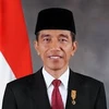 Indonesia: economic stimulus goals nearly completed 