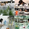 Quang Ninh prioritises science-technology development