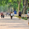 Hanoi’s 936 streets to feature natural stone 