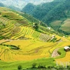 Vietnam, RoK cooperate to develop tourism 