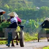 Community management employed in new rural building