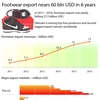 Footwear export nears 60 billion USD in 6 years