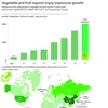 Vegetable and fruit exports enjoy impressive growth