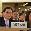Vietnam will work harder to ensure human rights: ambassador 