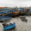South-central coastal localities implement Law on Fisheries