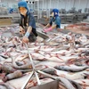 Tra fish shipments give hope to aquatic product exports