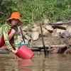 Mekong delta residents gear up to fight floods