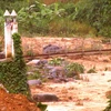 Rural people in need of new bridges after flood