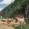 US funds 92,500 USD for Ho Dynasty Citadel conservation