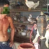 “Hell market” kills endangered animals