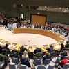 Vietnam affirms position through UNSC activities