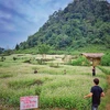 Buckwheat flower fields: unmissable check-in hotspots in Ha Giang