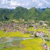 Glittering rice harvests in Bac Son valley