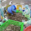 Seafood export takes larger bite out of foreign markets