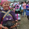 Hmong ethnic people’s market
