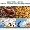 Five-month agro-forestry-fishery trade surplus nearly 3.3bn USD 