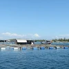 Khanh Hoa heading towards sustainable development of aquaculture