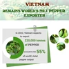 Vietnam remains world's No.1 pepper exporter