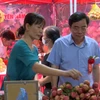 Hung Yen’s early-ripening hybrid lychees entering harvest season