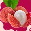 Vietnam’s first official lychee shipment arrives in UK