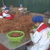 Vietnam becomes world’s biggest cinnamon exporter