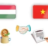 Vietnam - Hungary Comprehensive Partnership