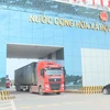 Border trade vibrant again in Quang Ninh province