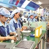 Vietnam appeals to supporting industry giants