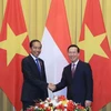 Vietnam, Indonesia Presidents hold talks
