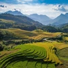 Vietnam - A land of breathtaking landscapes