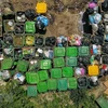 EPR helps Vietnam build a 'green’ recycling industry: experts