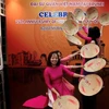 Vietnamese culture promoted in Brunei