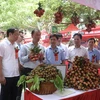 Hung Yen opens litchi fair 2023 