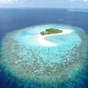Coral Island in the Maldives (Source: dailymail.co.uk)
