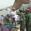 Fishermen join hands to overcome EU yellow card