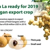 Son La ready for 2019 longan export crop