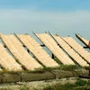 Lo Cuong rice noodle making village