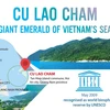 Cu Lao Cham: Giant emerald of Vietnam's sea